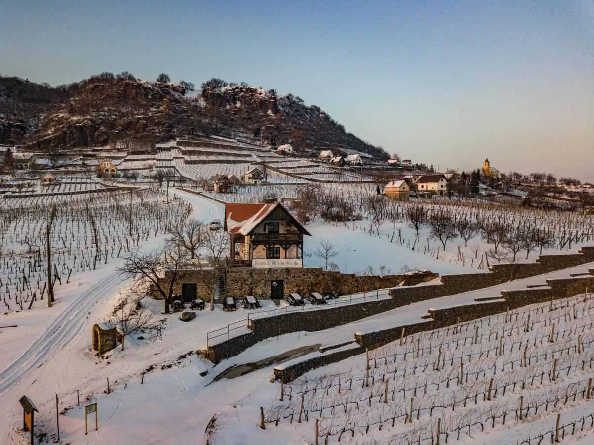 Somlo Wineshop Guesthouse Somlovasarhely Exteriör bild